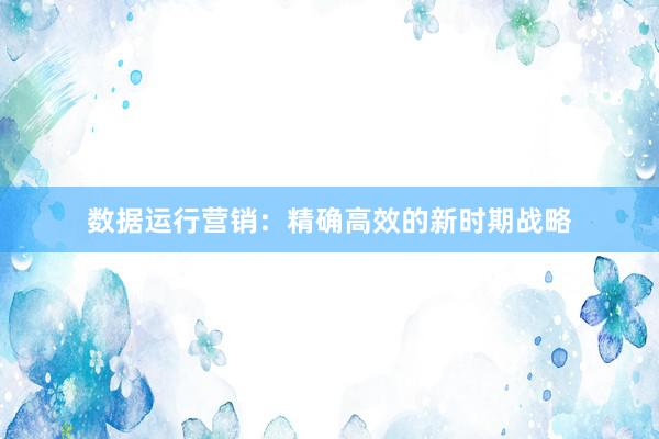 数据运行营销：精确高效的新时期战略