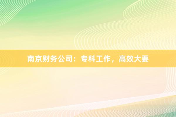 南京财务公司:专科工作,高效大要